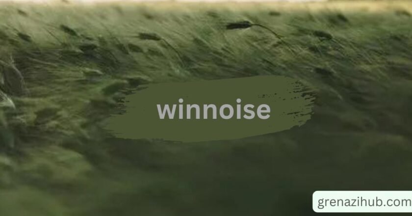 “Winnoise Unveiled: Transforming Your Audio Experience”