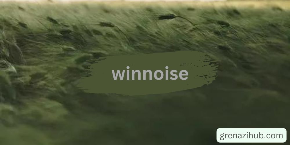 winnoise