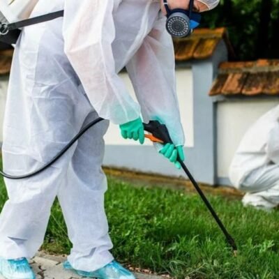 Pest Control A Comprehensive Guide to Keeping Your Space Pest-Free